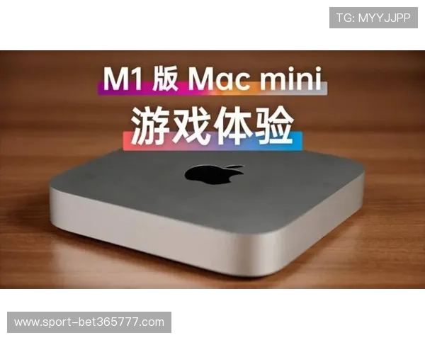 Bet登录线路确保用户畅享稳定游戏体验全面解析