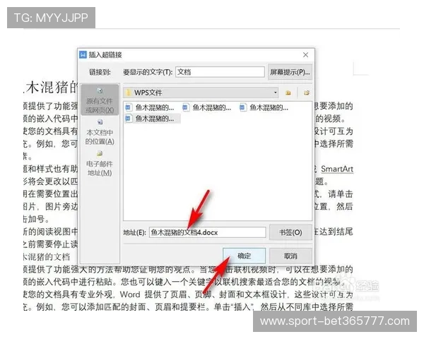 全面解析365日博网址官方地址提供的最新官方网址与登录步骤指南